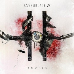 Assemblage 23 - Bruise