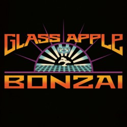 Glass Apple Bonzai