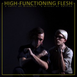 High-Functioning Flesh, "A Unity of Miseries, a Misery of Unities"