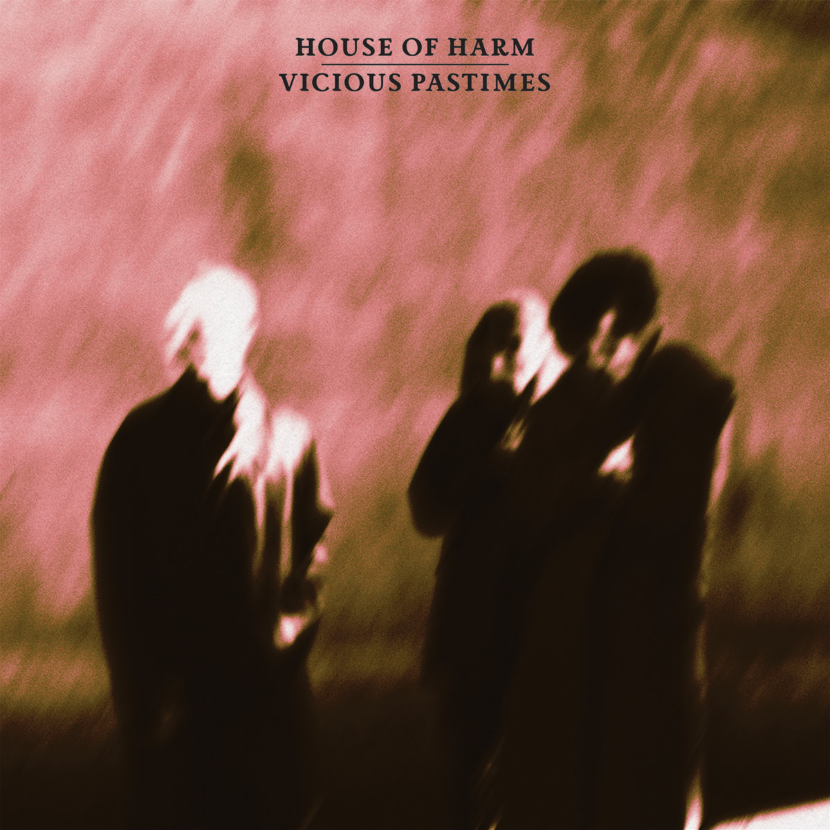 House of Harm, “Vicious Pastimes”