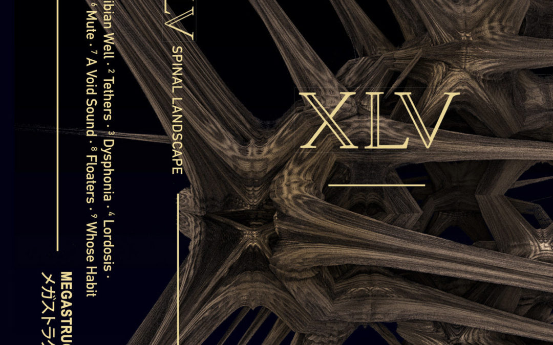 XLV, “Spinal Landscape”