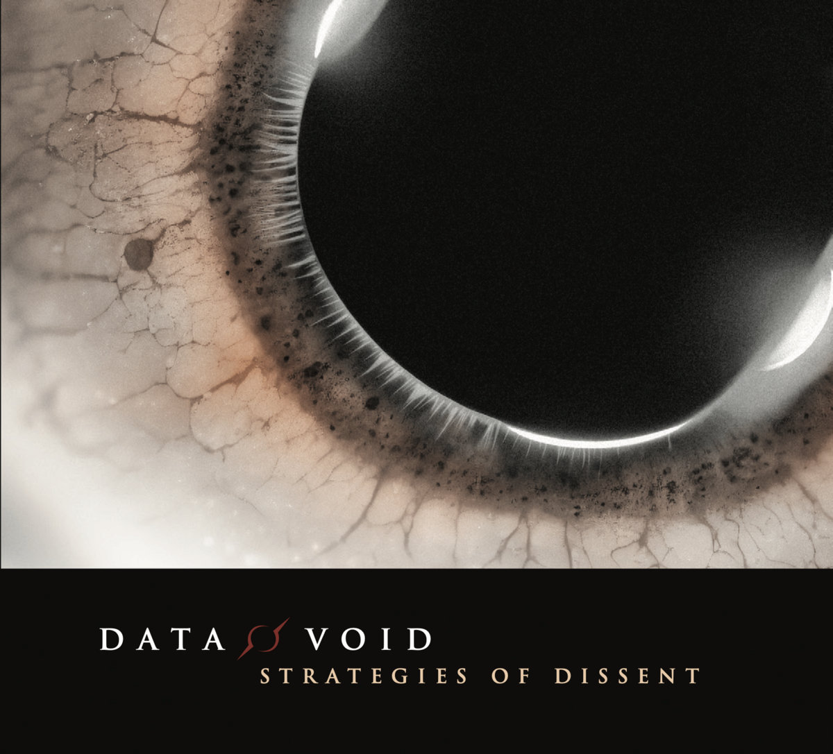 Data Void - Strategies Of Dissent